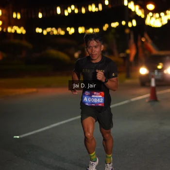 Runner Photo 3551886