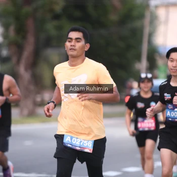 Runner Photo 3552205