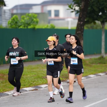 Runner Photo 3554424