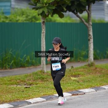 Runner Photo 3555417