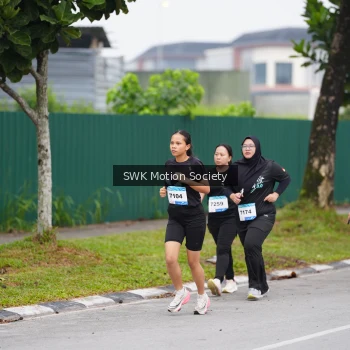 Runner Photo 3557203