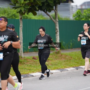 Runner Photo 3557715