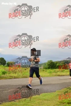 Runner Photo 355878
