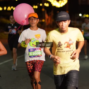 Runner Photo 3560273