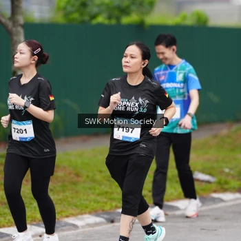Runner Photo 3560646