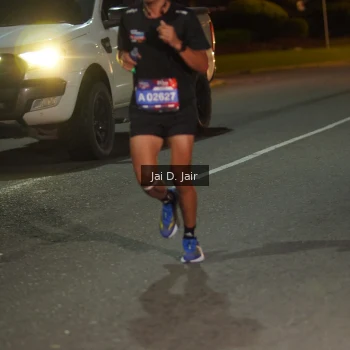 Runner Photo 3561069