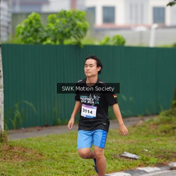 Runner Photo 3561682