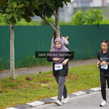 Runner Photo 3563160