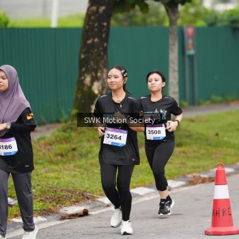 Runner Photo 3563227