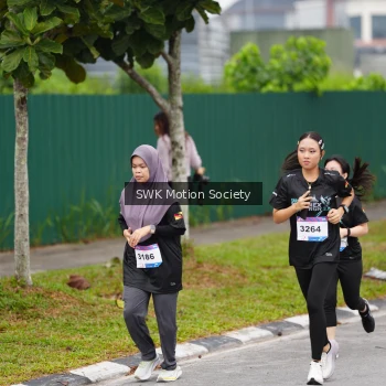 Runner Photo 3563344