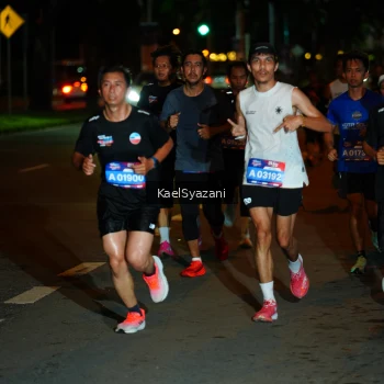 Runner Photo 3563473