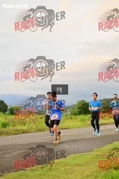 Runner Photo 356594