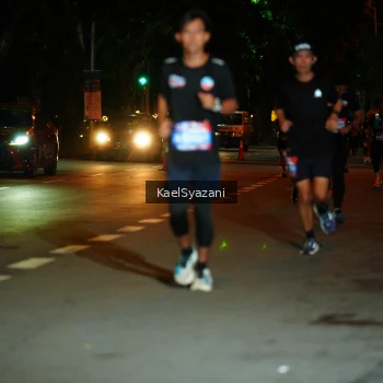 Runner Photo 3566055