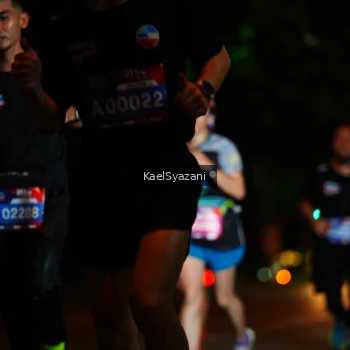 Runner Photo 3567933