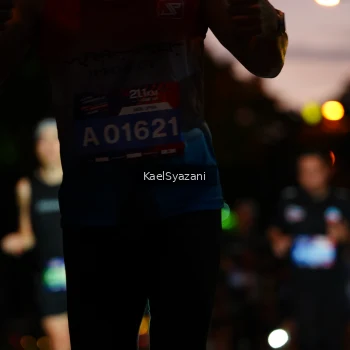 Runner Photo 3569244