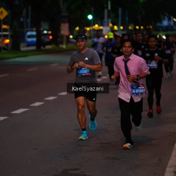 Runner Photo 3572268