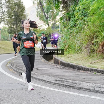 Runner Photo 3575261