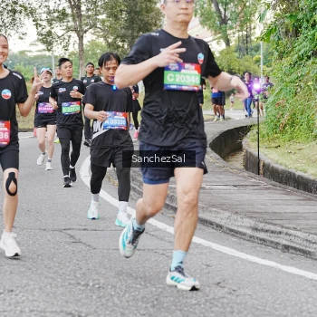 Runner Photo 3575307