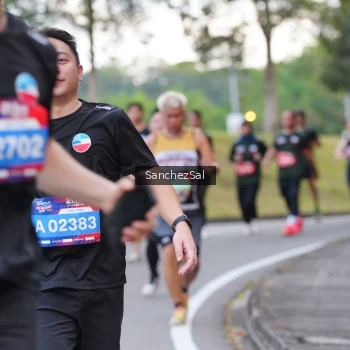 Runner Photo 3575627
