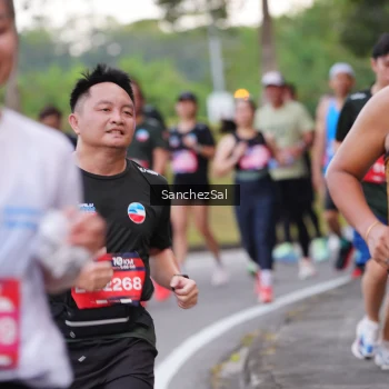Runner Photo 3575640