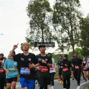 Runner Photo 3575973