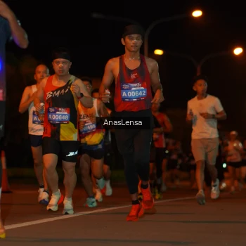 Runner Photo 3579468