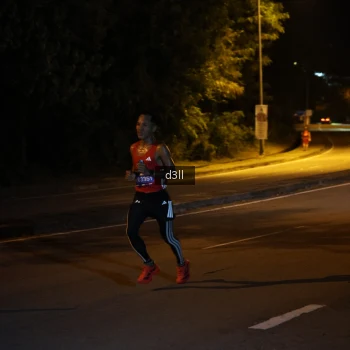 Runner Photo 3582844