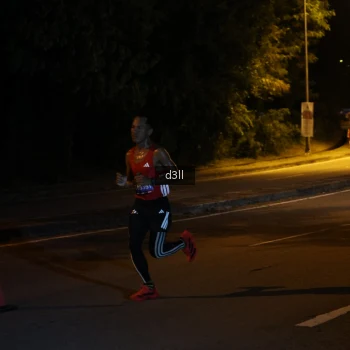Runner Photo 3582860