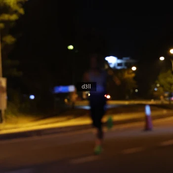 Runner Photo 3587293