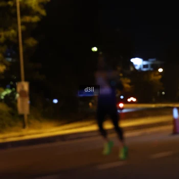 Runner Photo 3587303