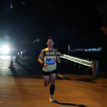 Runner Photo 3595195