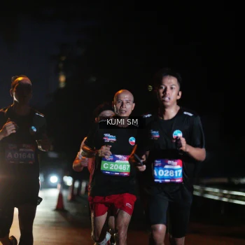 Runner Photo 3595795