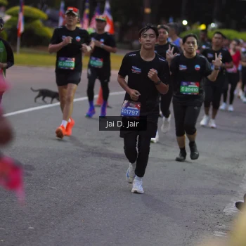 Runner Photo 3598675