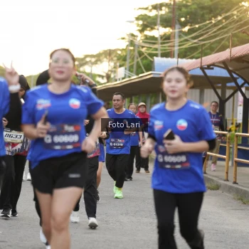 Runner Photo 3599281