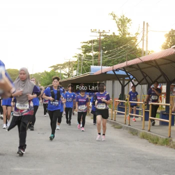 Runner Photo 3599777