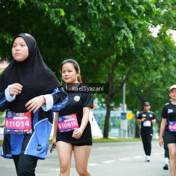Runner Photo 3609711