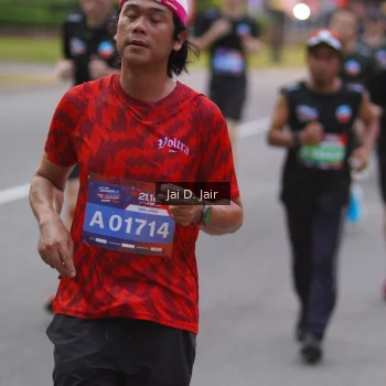 Runner Photo 3611638