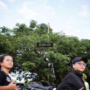 Runner Photo 3612520