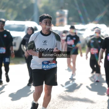 Runner Photo 3616772