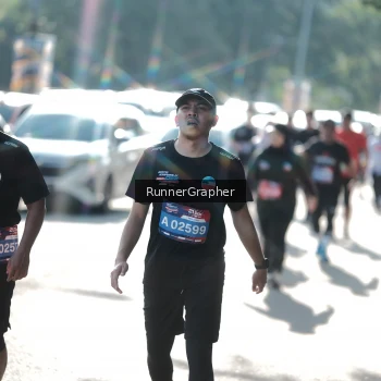 Runner Photo 3620267