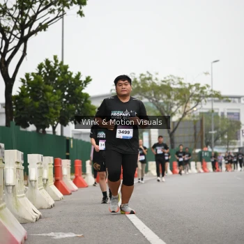 Runner Photo 3627680