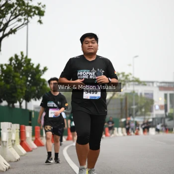 Runner Photo 3627702