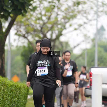 Runner Photo 3629210