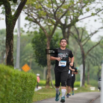 Runner Photo 3643515