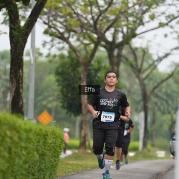 Runner Photo 3643575