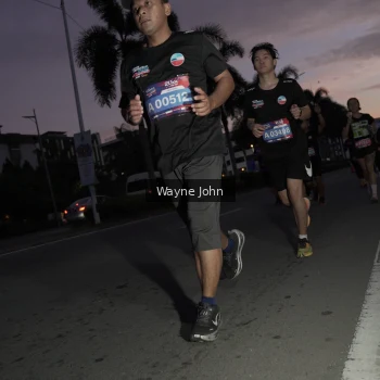 Runner Photo 3646305
