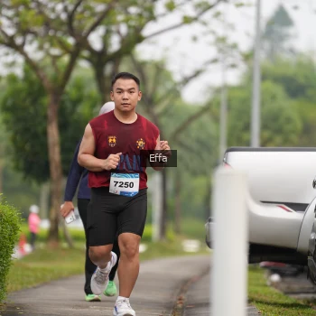Runner Photo 3649113