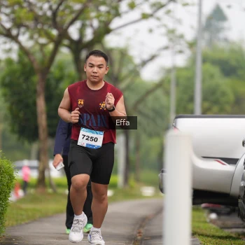 Runner Photo 3649167