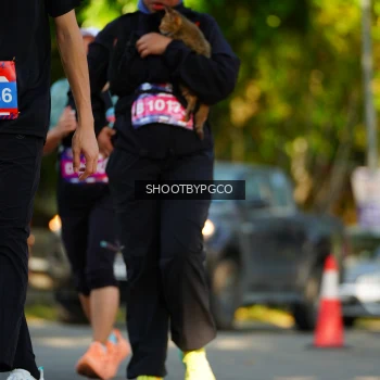 Runner Photo 3651175