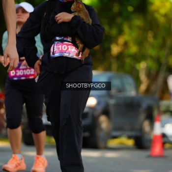 Runner Photo 3651765